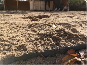 INB System Tierhaltung Bodenplatten Sand